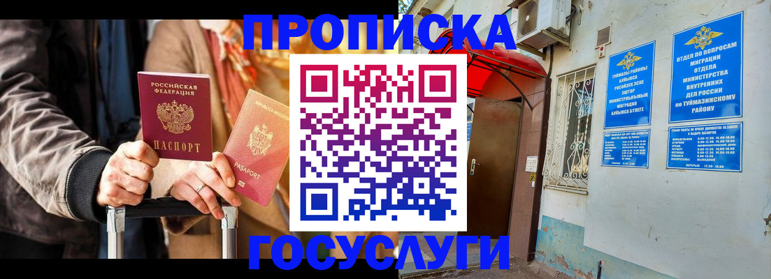 прописка гарантия в Новоузенске